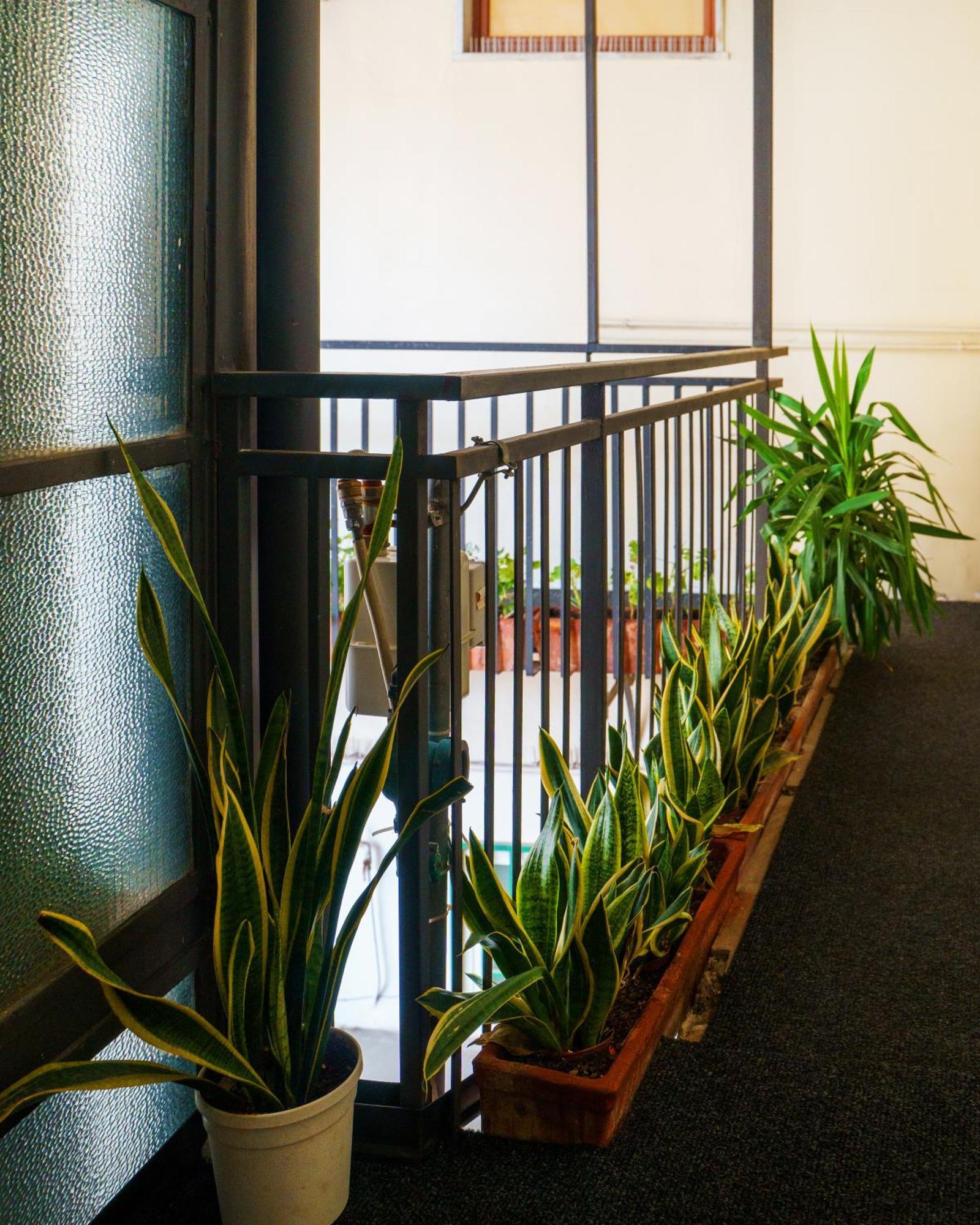 Appartement Chiatamone Relais